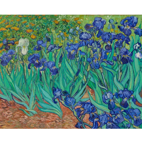 Irises - Vincent Van Gogh 5D DIY Paint By Diamond Kit