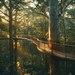 Valley Of The Giants Tree Top Walk - Western Australia Paint By Color