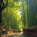 Kyoto Bamboo Grove DIY Paint By Diamonds