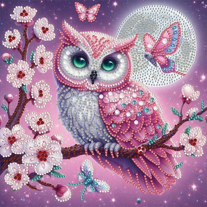 DIY Diamond Art Painting Kit