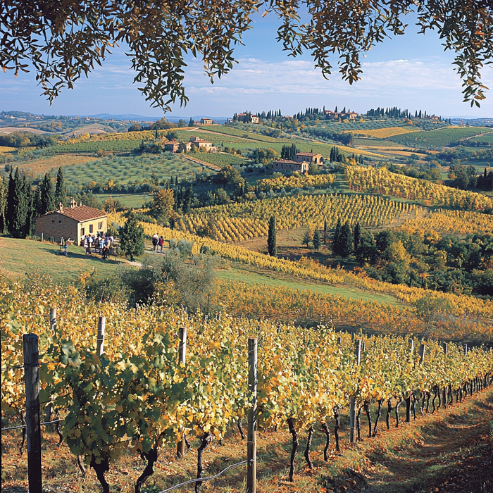 Tuscany Vineyards Diamonded Painting Kits