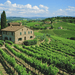 Tuscany's Vineyards DIY Paint By Diamonds