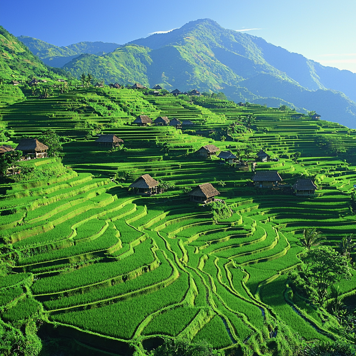 Banaue Rice Terraces - Philippines Painting Diamond Kit