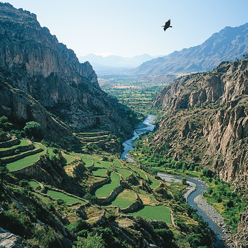 Colca Canyon - Arequipa Paint By Color