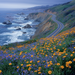 Big Sur Coast Highway Paint By Diamonds Kits