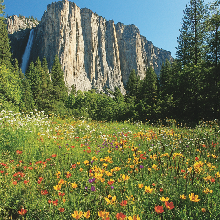 Yosemite National Park - California Painting Diamond Kit