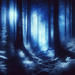 Mystic Night Forest Paint By Color