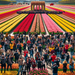 Tulip Festival - Netherlands Painting By Diamonds Kit