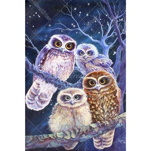 Four Owls 5D DIY Paint By Diamond Kit