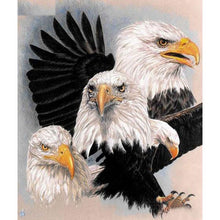 Eagle in Action 5D DIY Paint By Diamond Kit
