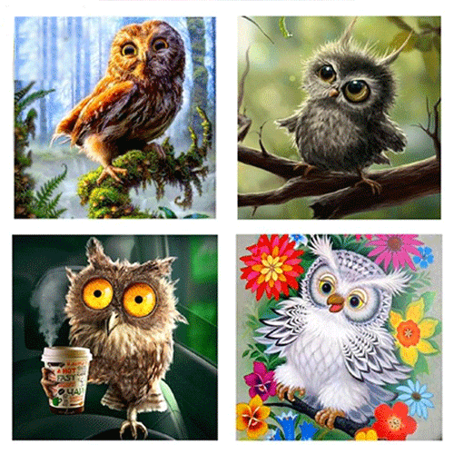 Owl Collection 5D DIY Paint By Diamond Kit