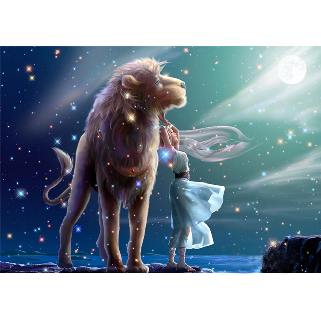 Dog Sees Constellations 5D DIY Paint By Diamond Kit - Paint by Diamond