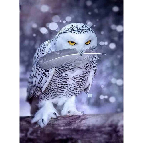 Snow Owl 5D DIY Paint By Diamond Kit