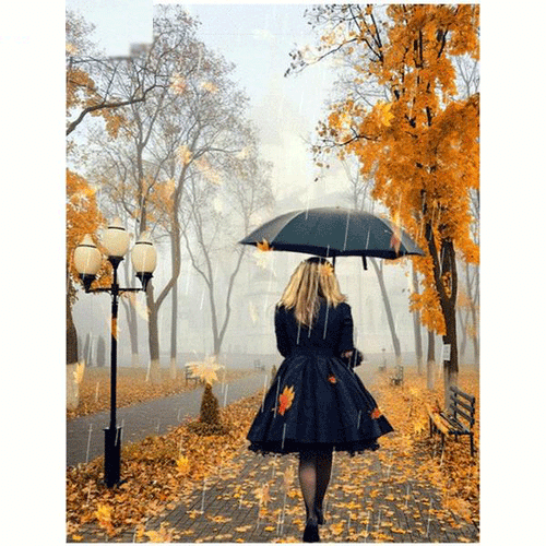 Walk in the Rain 5D DIY Paint By Diamond Kit