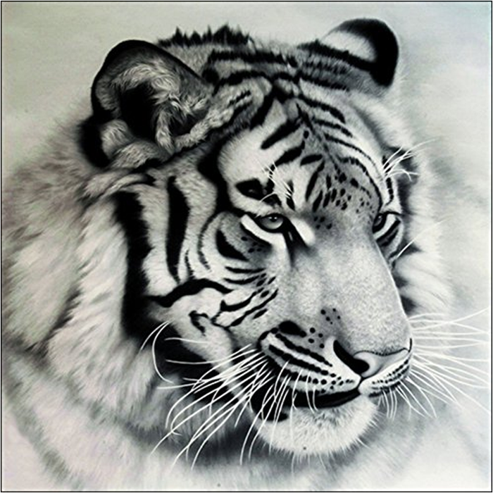 Tiger 5D DIY Paint By Diamond Kit