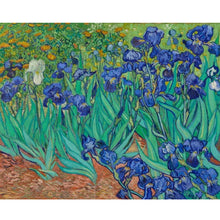 Irises - Vincent Van Gogh 5D DIY Paint By Diamond Kit