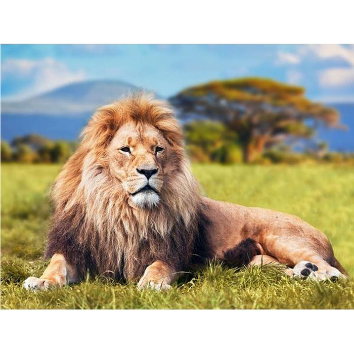 King of the Jungle 5D DIY Paint By Diamond Kit