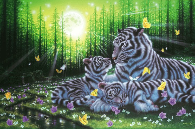 Jungle White Tiger 5D DIY Diamond Painting