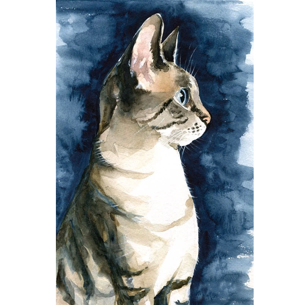 Lynx Point Cat Portrait by Dora Hathazi Mendes DIY Paint By Diamond Kit