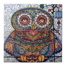 Cute Owl 5D DIY Paint By Diamond Kit