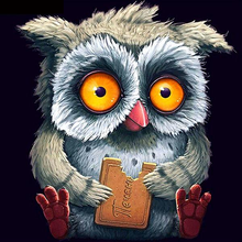 Cute Owl 5D DIY Paint By Diamond Kit