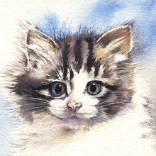 Kitten Lily by Sandra Phryce-Jones - 5D DIY Paint By Diamond Kit