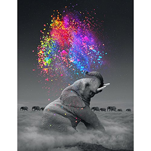 Elephants and Rainbow 5D DIY Paint By Diamond Kit
