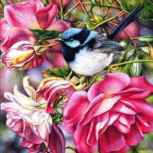 Bird and Flower 5D DIY Paint By Diamond Kit