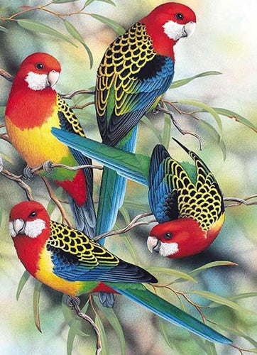 Colorful Birds On The Tree 5D DIY Paint By Diamond Kit