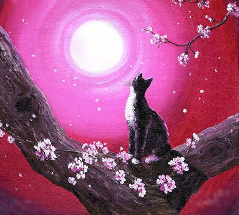 Moon & Cat 5D DIY Paint By Diamond Kit