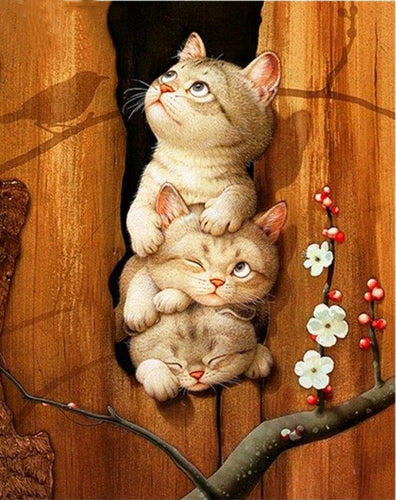 Cute Cats 5D DIY Paint By Diamond Kit