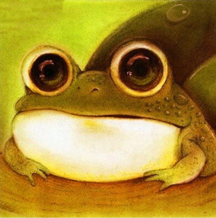 Frog 5D DIY Paint By Diamond Kit