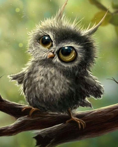Cute Owl 5D DIY Paint By Diamond Kit