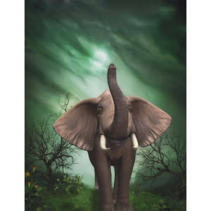An Amazing Elephant 5D DIY Paint By Diamond Kit