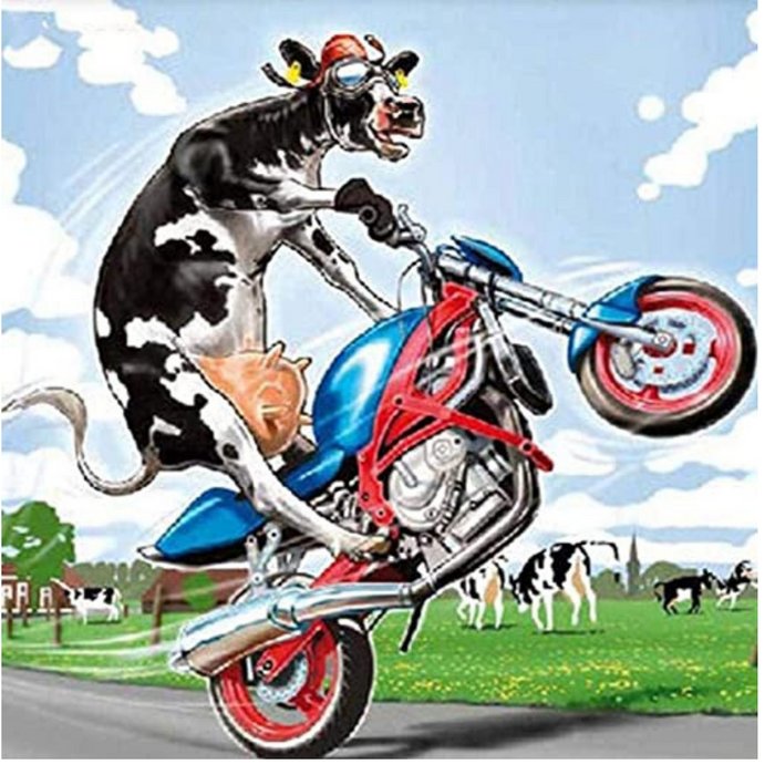 Biker Cow 5D DIY Paint By Diamond Kit