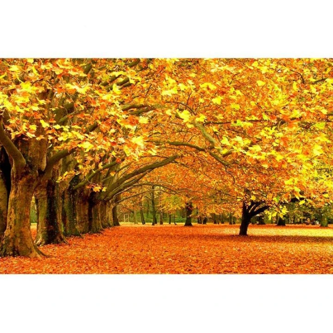 Autumn Forest 5D DIY Paint By Diamond Kit