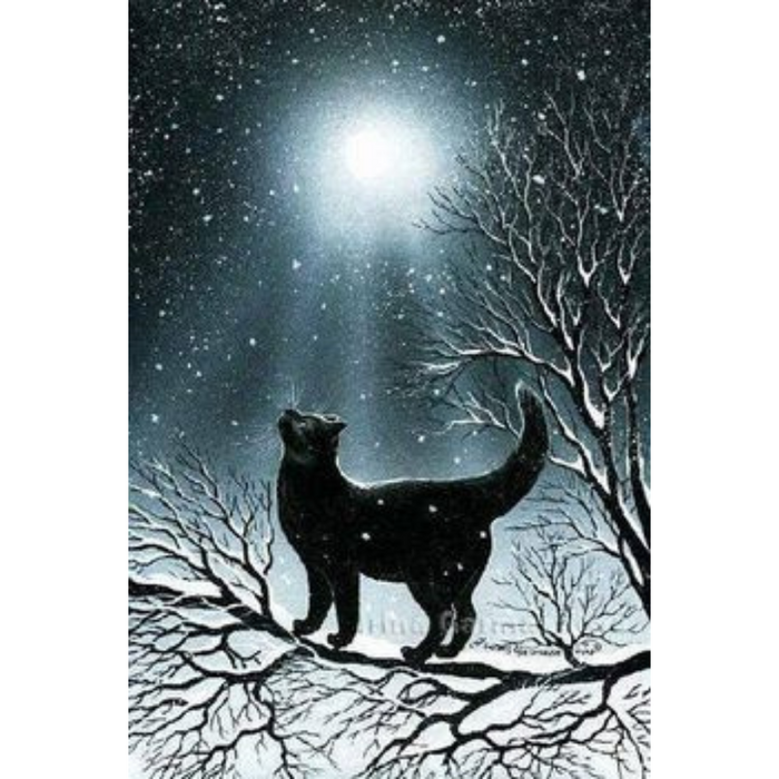 Black cat 5D DIY Paint By Diamond Kit