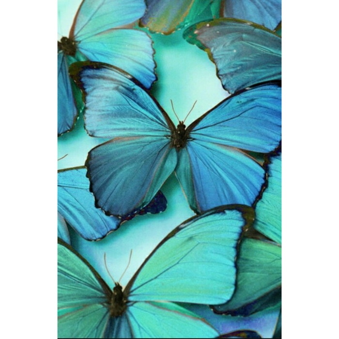 Blue Butterfly 5D DIY Paint By Diamond Kit