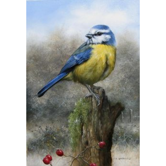 Blue & Yellow Bird 5D DIY Paint By Diamond Kit