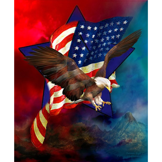 American Eagle 5D DIY Paint By Diamond Kit