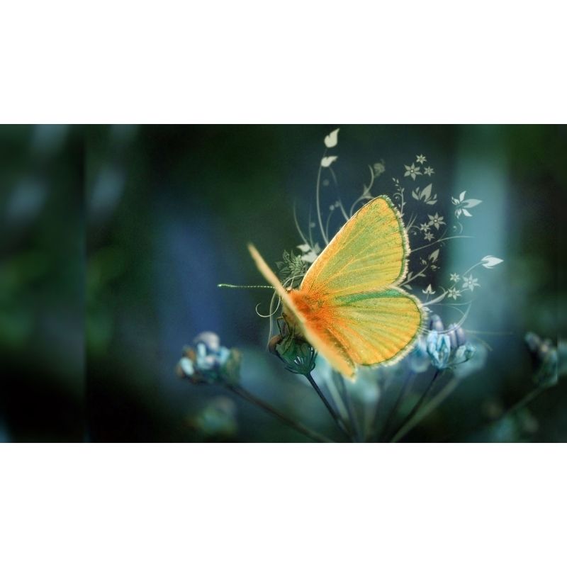 Yellow Butterfly 5D DIY Paint By Diamond Kit