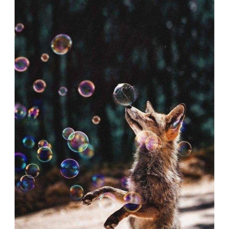 Wolf & Bubbles 5D DIY Paint By Diamond Kit