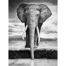 Wrinkles Elephant 5D DIY Paint By Diamond Kit