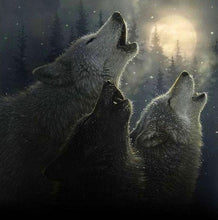 Two Wolves 5D DIY Paint By Diamond Kit