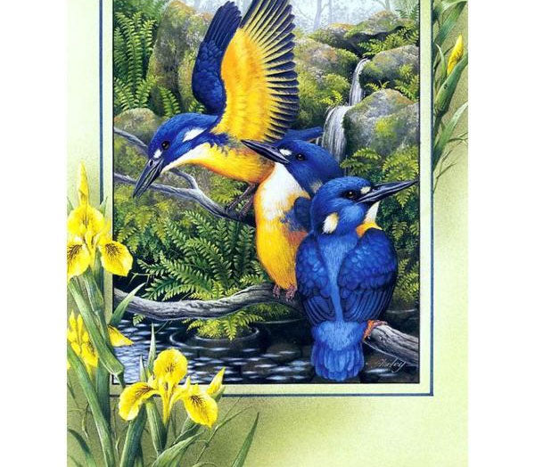 Blue Bird 5D DIY Paint By Diamond Kit