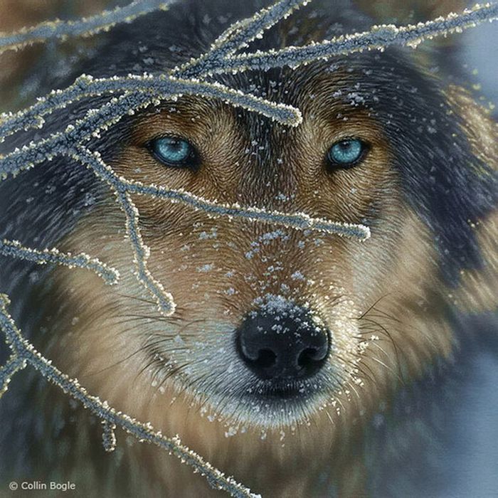Wolf in the Snow 5D DIY Paint By Diamond Kit