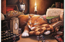 Cute Cat Sleeping 5D DIY Diamond Painting