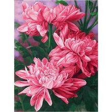 Pink Chrysanthemums 5D DIY Paint By Diamond Kit