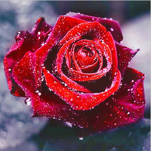 Beautiful Roses 5D DIY Paint By Diamond Kit