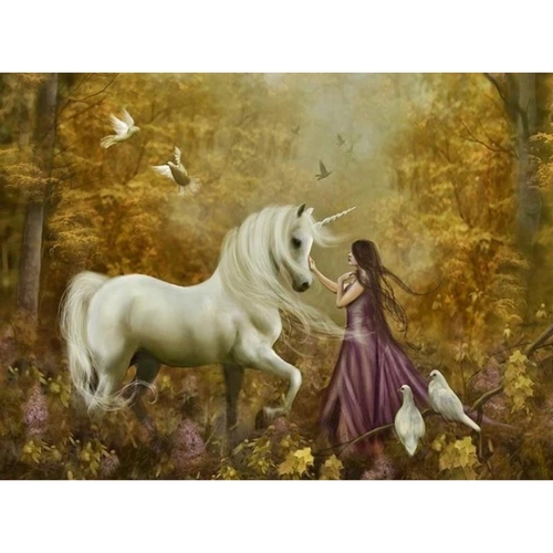 Beauty & Unicorn 5D DIY Paint By Diamond Kit